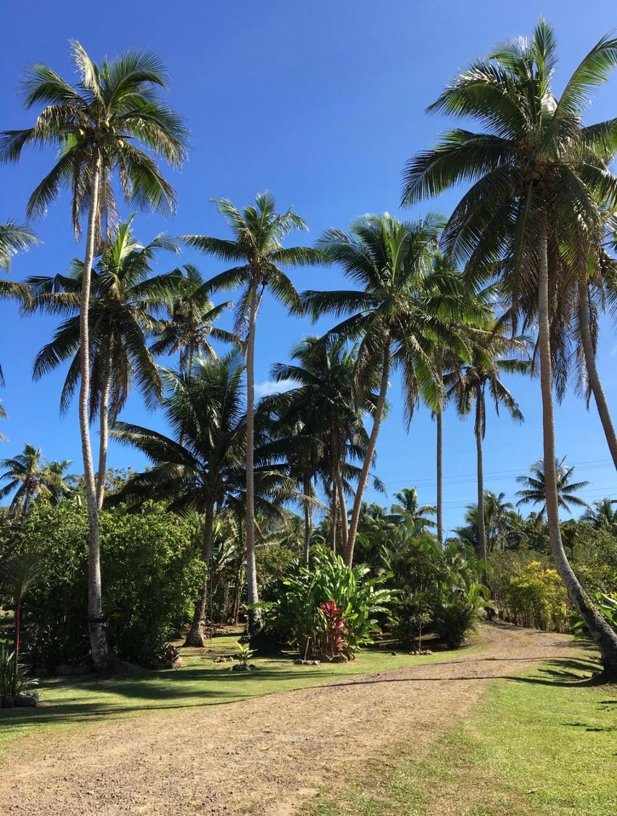 Villa Island Breeze Fiji Savusavu Habitación foto